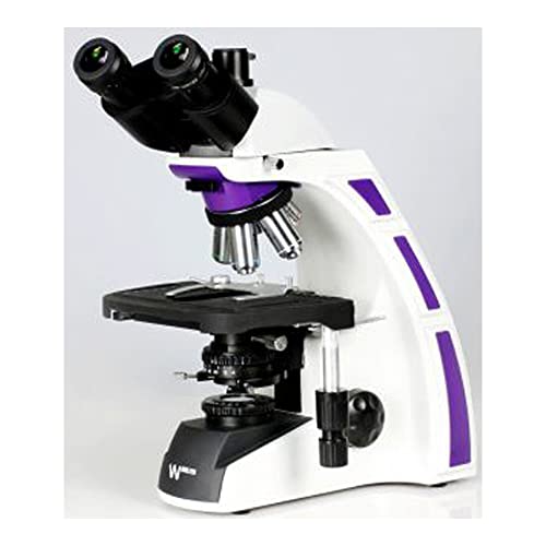 Walter Products 3007-L5 3000 Microscópio de prata, Bino