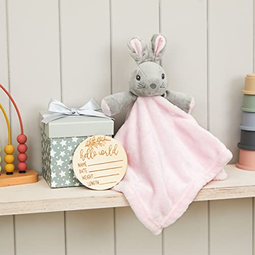 Bunny Lovey Bunny Security Blanket Loveys For Baby Girls Milestone Gift Box Apresente novo bebê recém -nascido