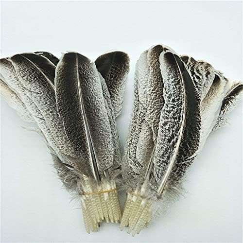 Palhas de águia natural para artesanato decoração de casamento plumas de carnaval de carnaval de artesanato diy