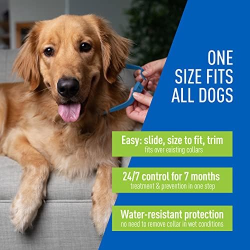 Colar de controle de pulga e carrapato para cães, proteção de 7 meses, colar de tamanho ajustável se encaixa