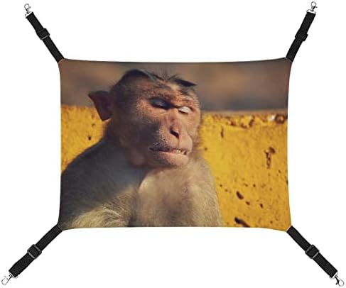 Cama de dormir para macaco de rede para animais de estimação com tiras ajustáveis ​​e ganchos de metal 16,9