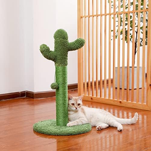 Cactus gato gato brinquedo árvore sisal sisal arranhando post ball interativo verde