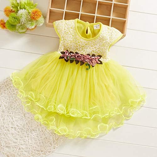 Criança de meninas bebês flores floral tule rússil vestidos de princesa roupas vestidos de vestidos 3_4years