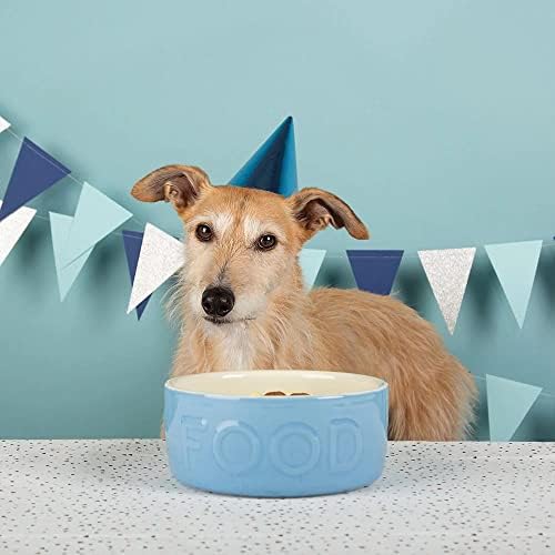 Scruffs clássicos de grés de cão de comida de pet food 19 cm x 19 cm x 8,5 cm azul