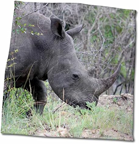Foto de 3drose de um rinoceronte Head Wildlife Photography - Toalhas