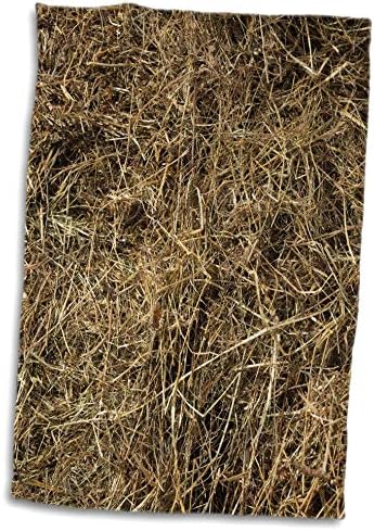 Imagem 3drose do feno seco. Alimentos naturais para gado feito de grama seca - toalhas