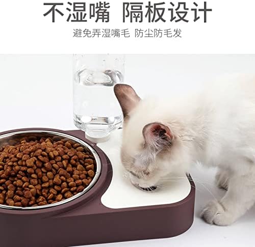 Tigela de cachorro mbera manter a boca seca dupla use uma tigela de estimação gato gato automático alimentador