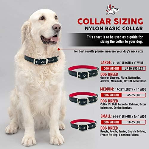 Pet Dreamland Dog Collar para cães pequenos - colares de cães acolchoados de neoprene ultra macios confortáveis