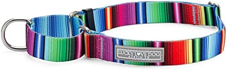 Lucky Love Dog Martingale Collar | Premium sem colarinho de deslizamento | Colorido colarinho de cachorro