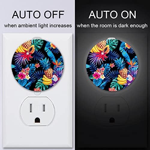 2 Pacote de plug-in Nightlight Night Night Light Colorful Tropical Abacax