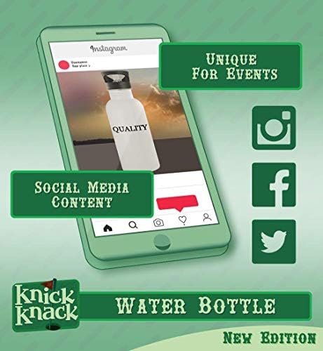 Presentes Knick Knack Onguent - 20 onças de aço inoxidável garrafa de água, prata