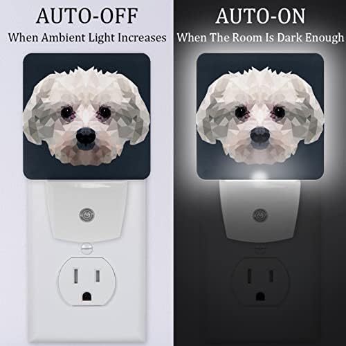 2 plug-in plug-in led noturno lâmpada leve retrato de cachorro maltese, entardecer automático ao dia