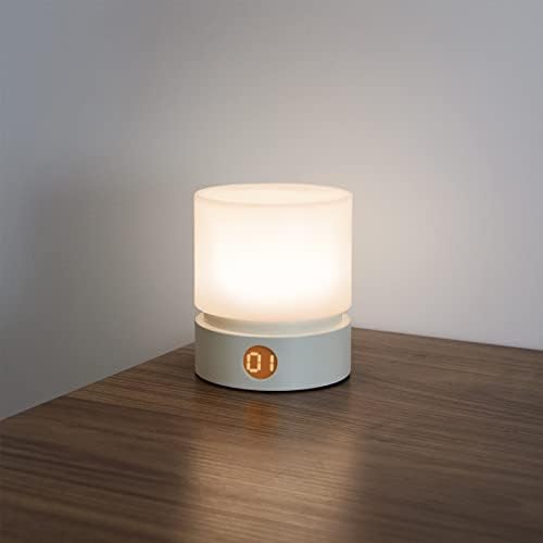 Smilodon Timer Night Light, lâmpada de cabeceira de cabeceira LED, infantil e viveiro de letras
