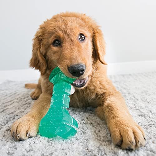 Kong - Squeezz Dental Stick - Textura flexível exclusiva, dentes e brinquedos para cães de limpeza de goma