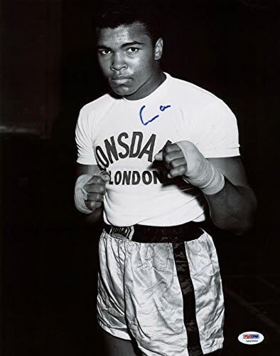 Muhammad Ali assinou 'Cassius Clay' Authentic 11x14 Photo PSA/DNA ITP 5A46966