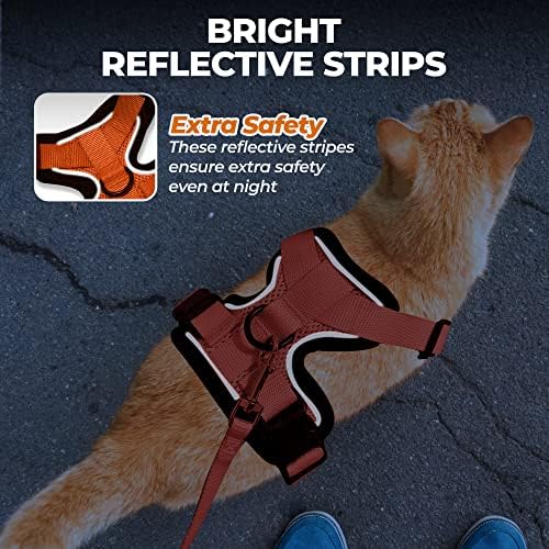 Furryfrenz Cat Churness and Leash Set for Walking | Jaqueta à prova de escape respirável e ajustável com tiras