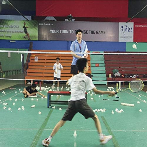 Dourr Badminton Tournament Net com cabo de corda 20 pés x 2,5 pés