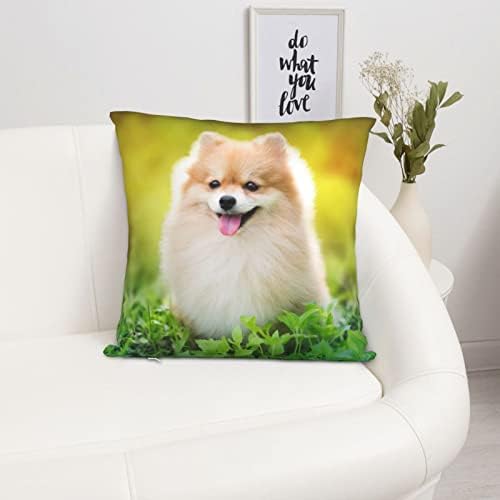 Capsões decorativas de almofada decorativa, cão pomeraniano de almofada quadrada macia definida para sofá de