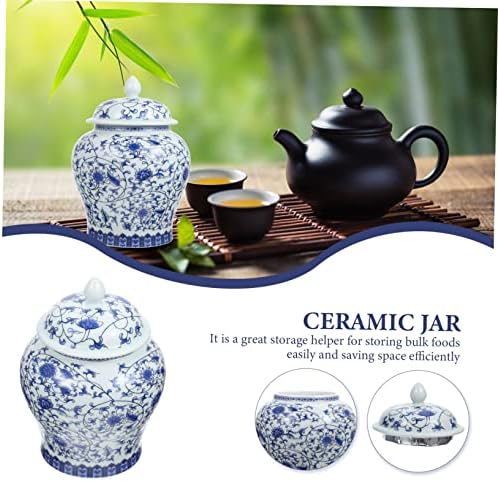 Homoyoyo Blue e branco Porcelana Caddy de chá asiático Conjunto de chá de cerâmica Conjunto de