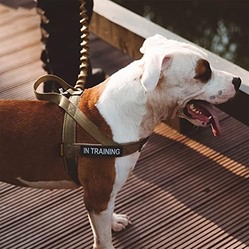 Wtzwy Tactical Dog Arnness, colete de cão militar ajustável e ajustável, sem tração, sem tração fácil de usar