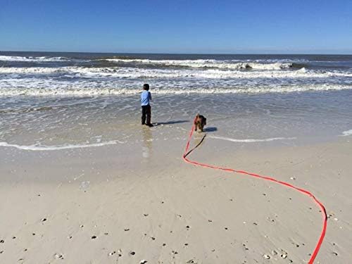 Ddscolour Dog/Puppy Obedience Recall Treinamento Agilidade Lead-16 Ft 23 pés 33 pés 50 pés 66 pés Leash-for-great