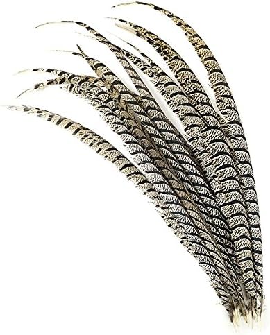 3 PCs Lady Amherst Pheasant Tails Center Feathers