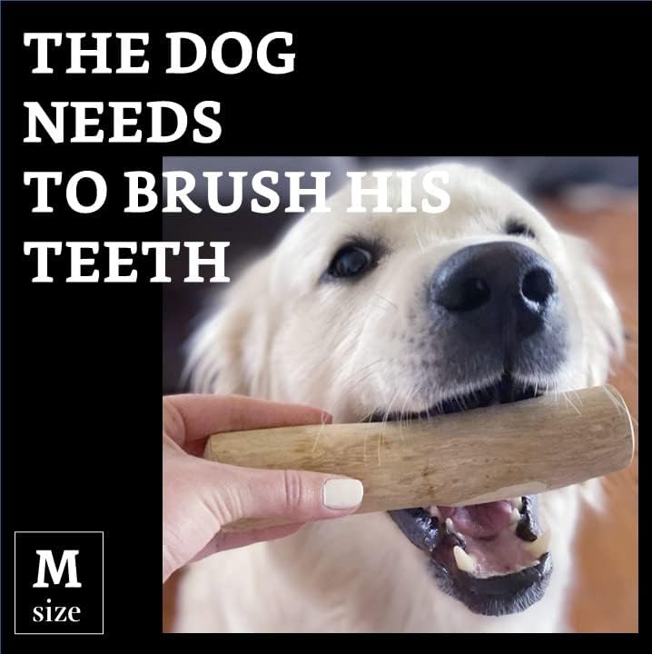 Raiz de mastigação feita de madeira para cães Eu mastigando o osso de madeira de brinquedo de cachorro I