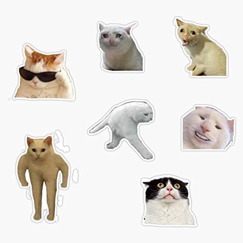 Lad Studio Cat Memes Sticker Pacote Adesivo Vinil adesivo Decalque a água 5