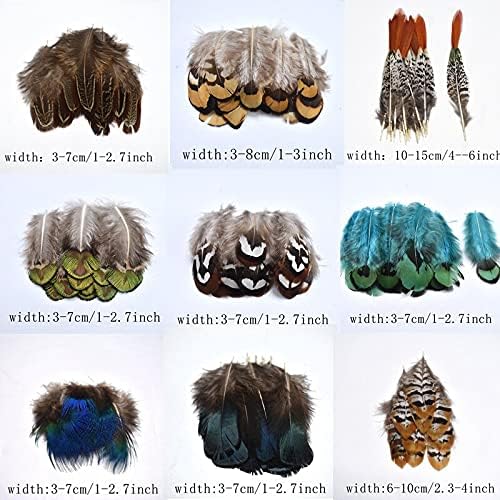 20-100pcs Fantas de faisão naturais para roupas Feathers de pavão diy para jóias que fabricam decoração de