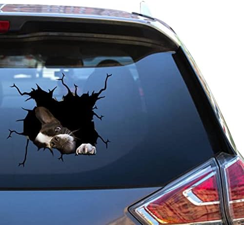 Adesivo de janela do carro de Boston Terrier