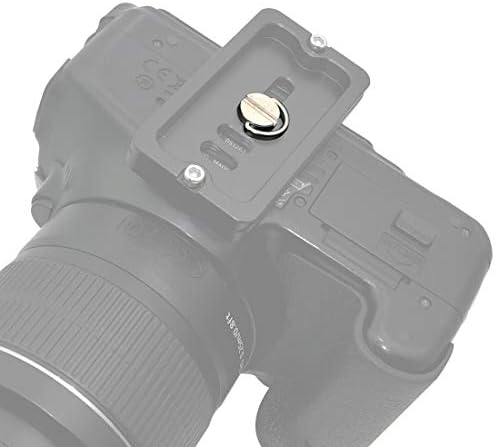 Feichao D-ring 1/4 polegada Tripé QR parafuso de 5,5 mm de aço inoxidável para o tripé de câmera Monopod Quick Liberação