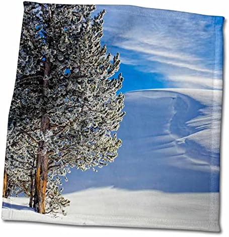 3drose EUA, Wyoming, Parque Nacional de Yellowstone, inverno - toalhas
