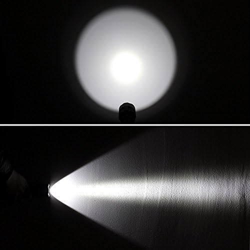 Bestsun Ultra brilhante lanternas XM-L2 Bulbo LED Único modo de lúmens 1200 lúmens Drop-in P60 Módulo de design