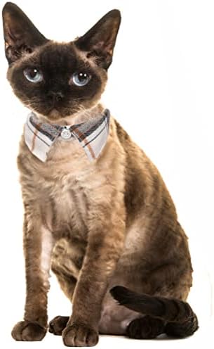 2 pacote/conjunto de gato colarinho com gravata borboleta fofa e xícara de sino para segurança ajustável