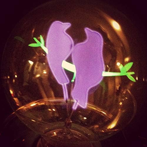 Darksteve - Lâmpada decorativa do casal de pássaros - lâmpada Edison, luz antiga de estilo vintage, tamanho G80, base E26, não -minúscula