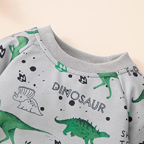 WeixInBuy recém-nascido garoto de menina roupas de bebê de manga comprida Dinosaur Rodper de grandes