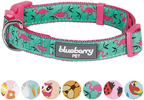 Pet Blueberry Pet Essentials 10 Padrões Flamingo rosa em colarinho de cachorro ajustável de esmeralda leve,