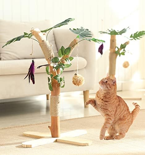 Postagem de arranhões de gato de palmeira - Postagens de arranhões para gatos internos adultos 24 Alto
