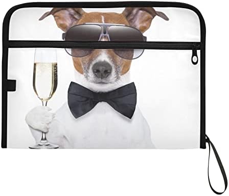 Óculos de cães legais Organizador de arquivos de acorde 13 bolso de expansão Pasta para documentos com