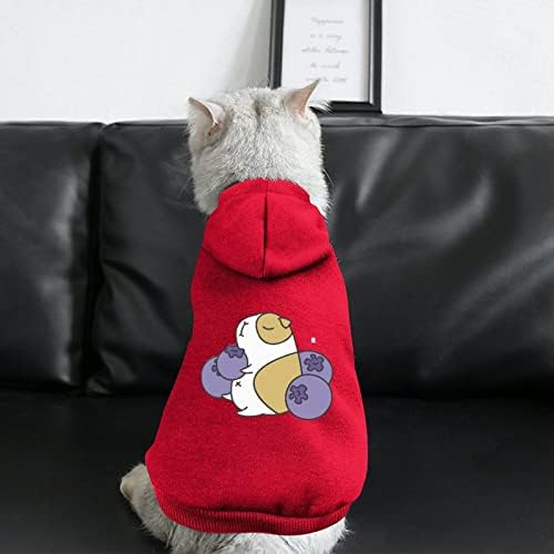 Capóis de cachorro de cão de estimação personalizados e mirtilos com suéteres de estimação respiráveis