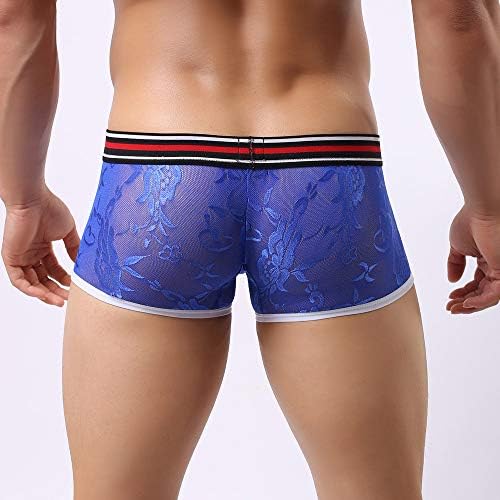 Sheoo Sexy Underwear para homens Naughty for Sex/Play Veja através de U Bulge Bolsa Lace Erótico