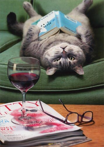 Livro de leitura de gato de cabeça para baixo - Avanti Funny Mother Day Card