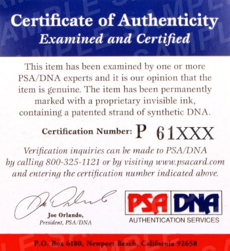 Antonio Rogerio Nogueira assinada UFC Glove PSA/DNA CoA 198 156 Autograph Pride FC - luvas UFC autografadas