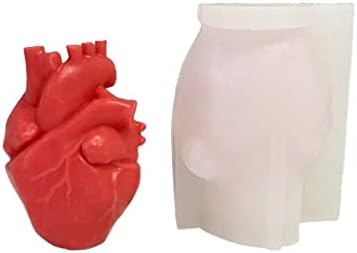 3D CELHO CEDLE MONDOS ORGANOS HUMANOS GRANDES Coração de molde de molde de molde de molde de molde de molde