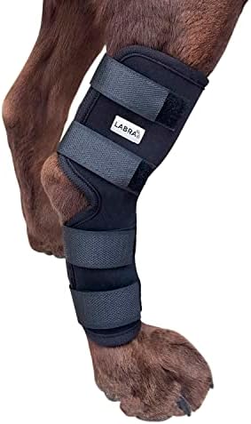 Labra Dog Extra Apoio ao jarrete da perna traseira de suporte para a perna traseira embrulhada para recuperação,
