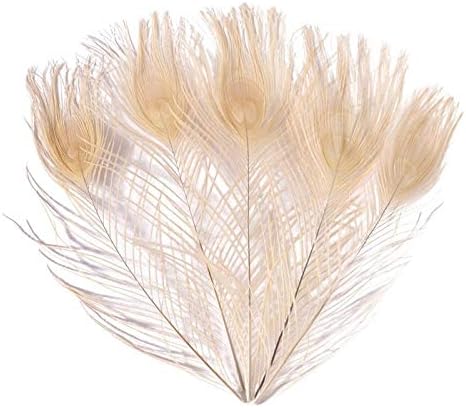 Zamihalla Peacock Feathers 25-30cm 10-12 polegadas lindas penas naturais de pavão para artesanato jóias