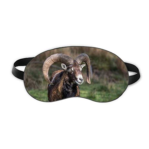Ciência florestal de ovelha Nature Sleep Eye Shield Soft Night Blindfold Shade Cover