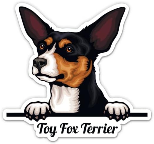 Toy Fox Terrier Dog Stick - adesivo de laptop de 3 - Vinil à prova d'água para carro, telefone,