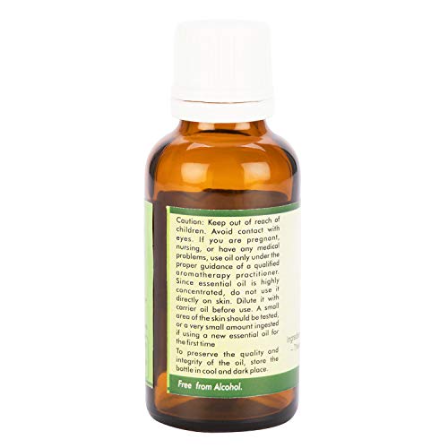 R V Essential Pure Bay Laurel Leaf Essential Oil 5ml - Laurus Nobilis