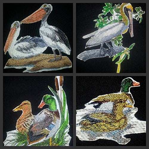 BeyondVision Nature texou em fios, Amazing Birds Kingdom [Pelicanos australianos] [Custom and único] Ferro